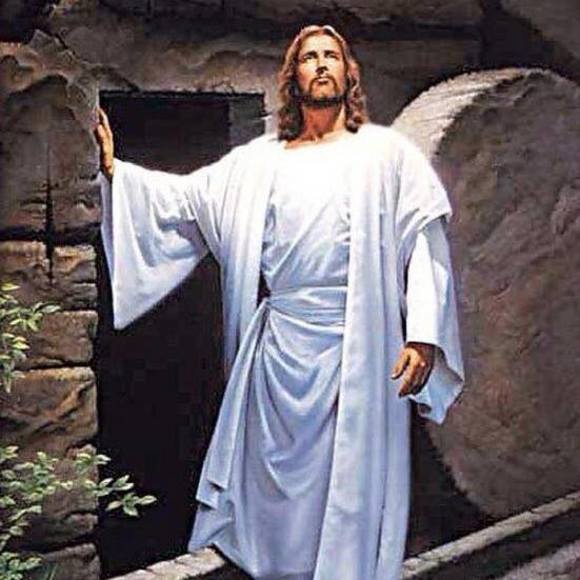 Meet your Posher, Jackie - Picture 1 of 1